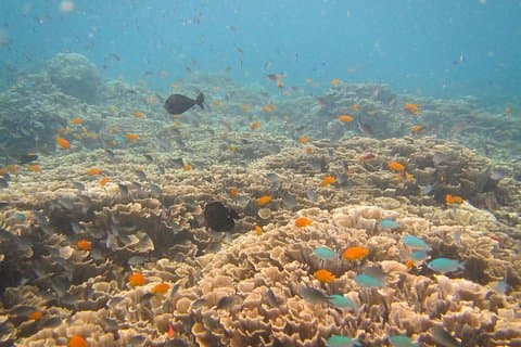 Naufragio Snorkeling a Tulamben