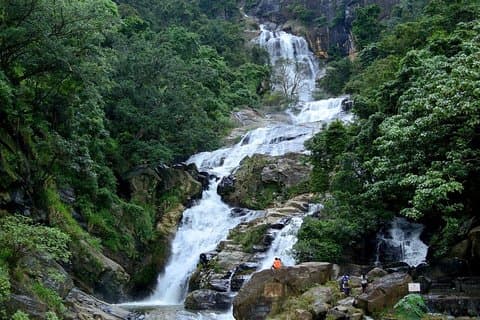 2-Tages-Tour zum Sinharaja Rain Forest & Udawalawa von Colombo