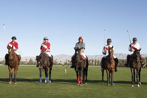 Match de polo, barbecue et journée de cours au départ de Buenos Aires