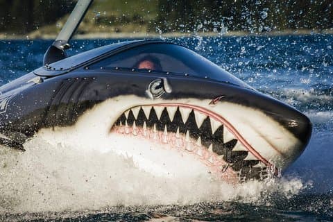 Shark Ride in Cancun - Seabreacher
