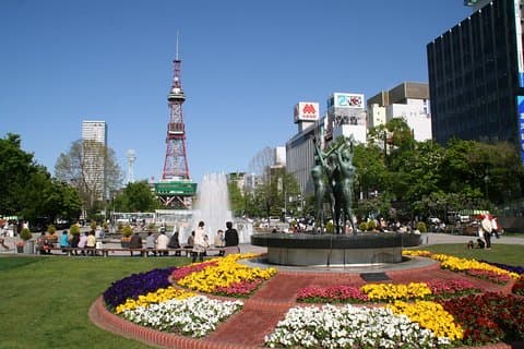 SkyExpress: Sapporo Customized Private Day Tour (bis zu 8 Passagiere)