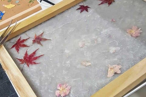 Kyoto; Traditional Japanese Washi Papermaking