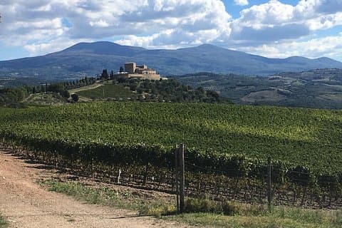 Brunello E-Bike Tour