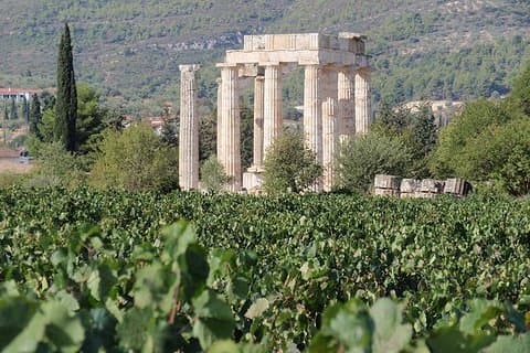 Strade del vino Nemea, il tour del vino più famoso in Grecia