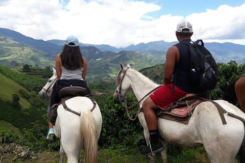 Ridning i Medellin privat tur: Fantastisk utsikt & hästar