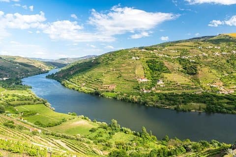Douro Valley private tour with wine tasting and boat tour