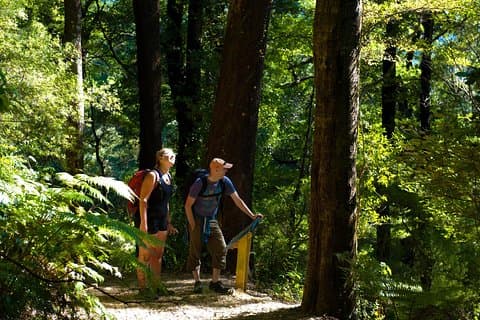 Selbstgeführte Queen Charlotte Track Wanderung von Picton