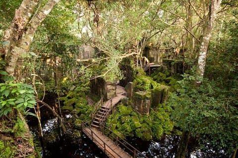 Beng Mealea-templet och Kompong Khleang Floating Village