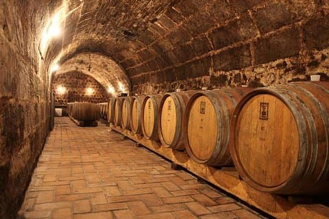 Landsby halvdags Gastro-vin tur fra Budapest Måltid og afhentning