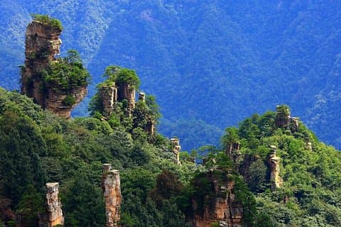 Zhangjiajie National Forest Park Day Tour inkludert lunsj
