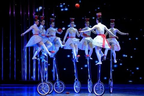 Tour serale di Pechino dello spettacolo di acrobazie con trasferimento privato