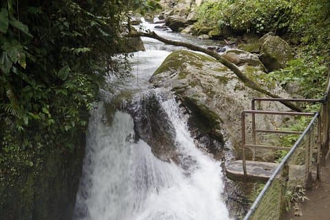 Mindo Cloudforest und Vogelbeobachtung von Quito BY ECUADORTREASURE