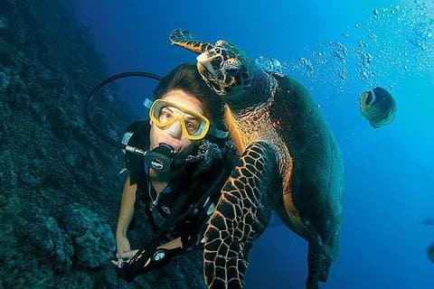 Antalya Scuba Diving con pranzo e trasferimenti
