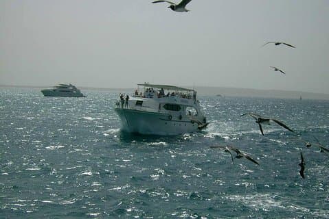 Sortie en mer privée Hurghada
