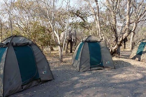 Chobe National Park Camping Safari From Victoria Falls (2 giorni e 2 notti)