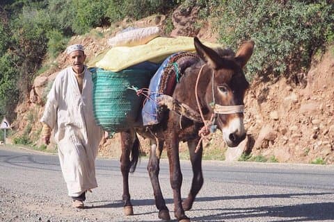 Privat halvdagstur till Ourika-dalen från Marrakech inklusive Camel Ride