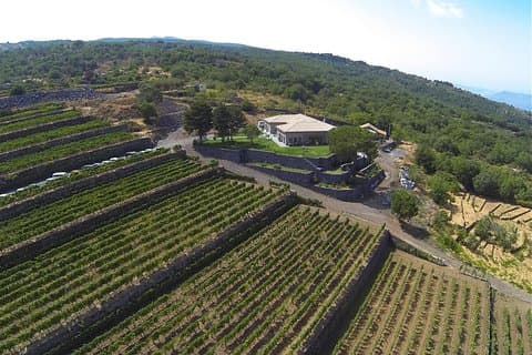 Etna Wine Tour by Land Rover from Taormina