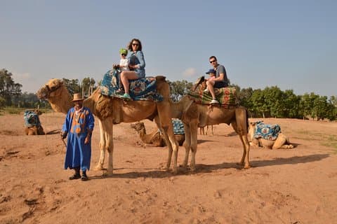 Zonsondergang kameel rijden in Agadir met vervoer, thee en gebak.