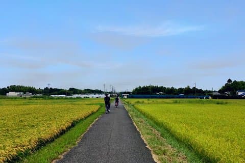 Excursão de ciclismo no Japão rural para a rica área natural de Ichinomiya