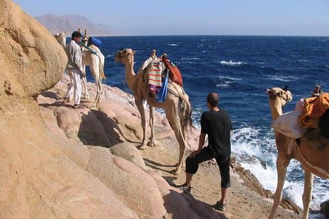 Camel Ridding marsa alam safari fra Camel Yard