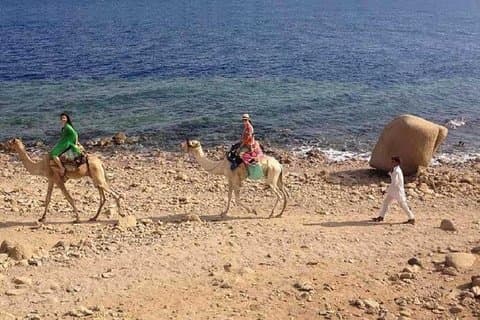 Schnorcheln Sie in Blue Hole, White Canyon Safari & Kamelsafari von Sharm El Sheikh