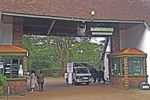 Tour Safari por el Parque Nacional de Nairobi
