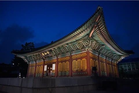 Central Seoul Evening Tour herunder Deoksu Palace, Seoul Plaza og Dongdaemun Market