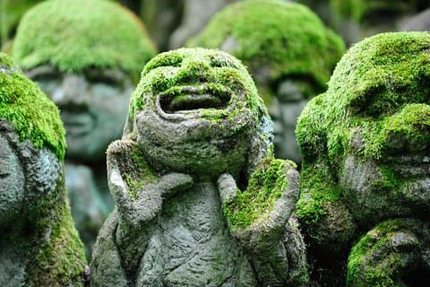 Tour privato di Kyoto di Arashiyama di 3 ore