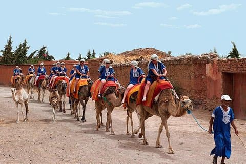 2 uur kameelrit in de beroemde palmboomgaarden en berberdorpen in Marrakech