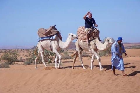 Escursione giornaliera al safari nel deserto del deserto di Agadir con pranzo e tour della città di Agadir