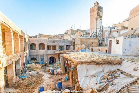 Fez cultural tour