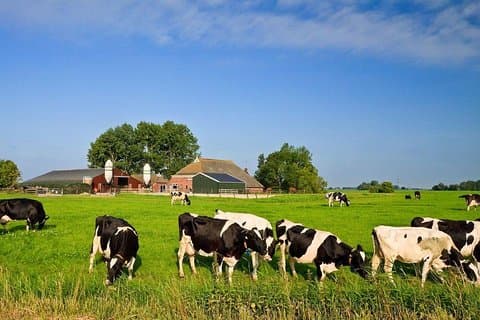 Farm Life Ausflug von Fez