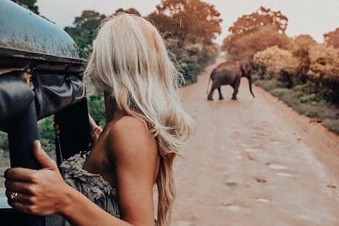 Lo más destacado de Dambulla & Kaudulla National Park Excursión de un día desde Colombo