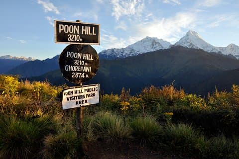 9 Days short and Easy Ghorepani Poonhill Trekking in Nepal