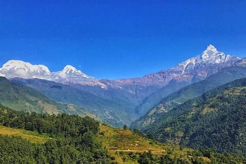 Katmandu, Chitwan, Pokhara med Dhampus Sarangkot Trek