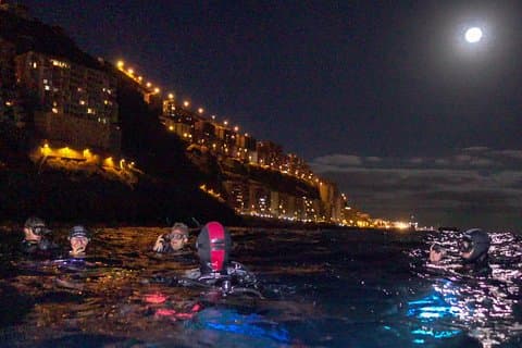 Plongée de nuit sous-marine sur Tenerife