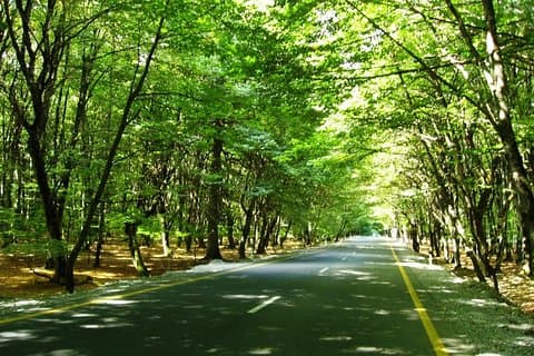 Baku Gabala Sheki 4 Sterne Tour für 6 Nächte 7 Tage