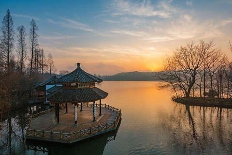 Half Day Hangzhou Leisure Tour with Optional Morning or Afternoon Start