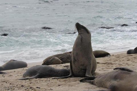 Galapagos Surprising 4 Days