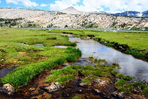 Private Tuolumne Meadows Hiking Tour