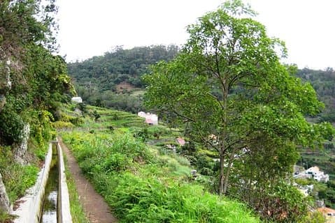Private Guided Walk Levada Maroços Machico