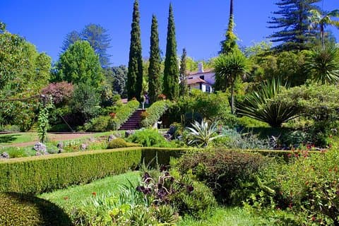 Private Halfday Flower Palheiro Gardens Tour
