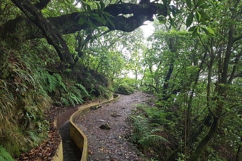 Privat guidet gåtur Levada Santo da Serra til Ribeiro Frio