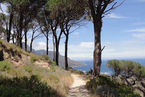 Pipetrack-wandeling voor het hele gezin op de Tafelberg - PRIVÉ
