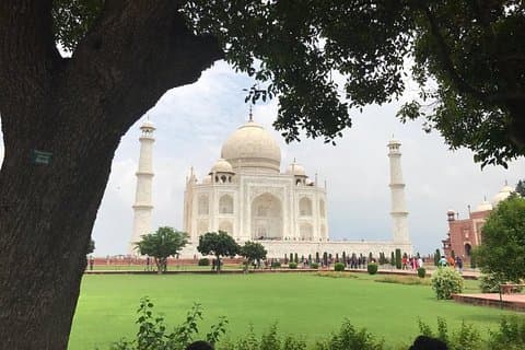 Visite du Taj Mahal en voiture – Visite la plus vendue sur Viator