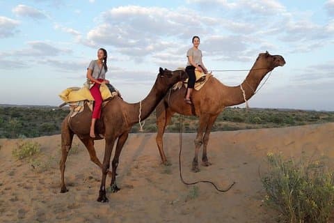 Camel Safari Experience With Chhotaram Prajapat