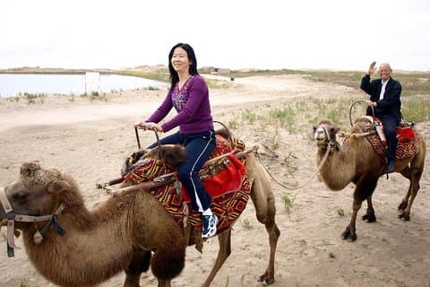 Best Fun and Cheap 2 Hours Camel Experience in Agadir