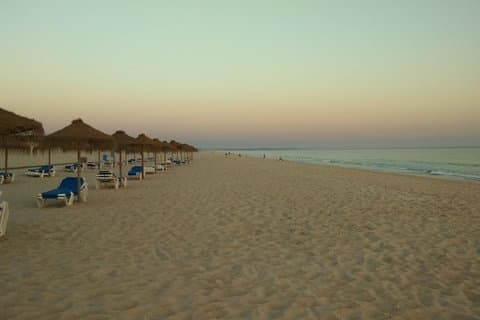 Privat tur till Alentejo-kusten, Comporta-stranden, Alcacer do Sal och Setubal