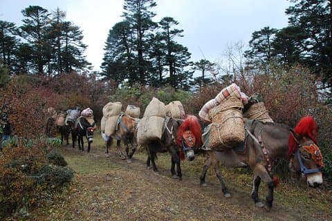 Druk Path Trek nel Bhutan incontaminato