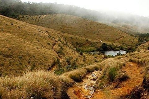 Horton Plains-World's End Tour en Tea Factory Tour vanuit Nuwaraeliya